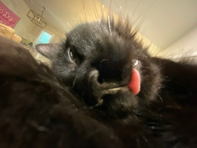 Silly Photo 17