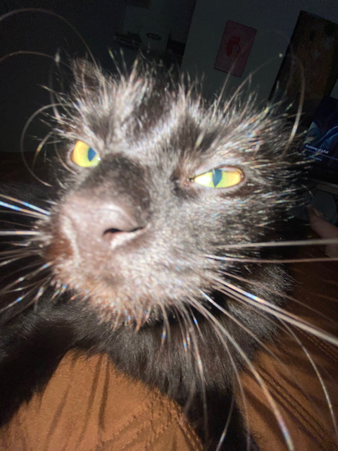Silly Photo 36