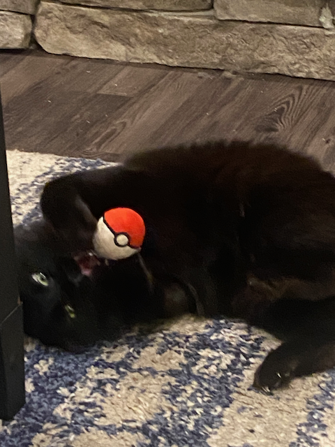 Silly Photo 4